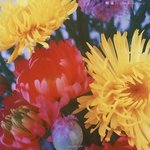 先锋影音一区二区
