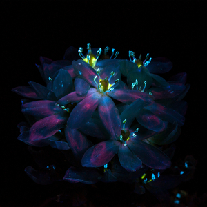 先锋影音一区二区
